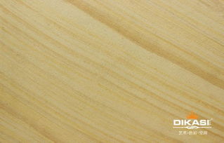 衡陽市藝術涂料招商加盟新機遇 認準帝卡斯，品質直銷，信賴之選